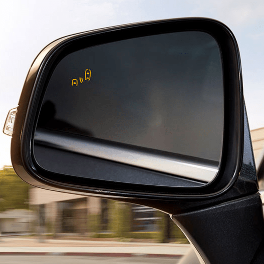 Rear View Assist