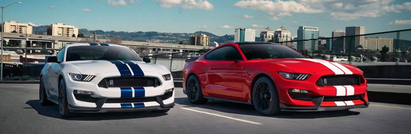 Ford Car Dealership Shelby Mustang Ford Car Dealership Shelby Mustang