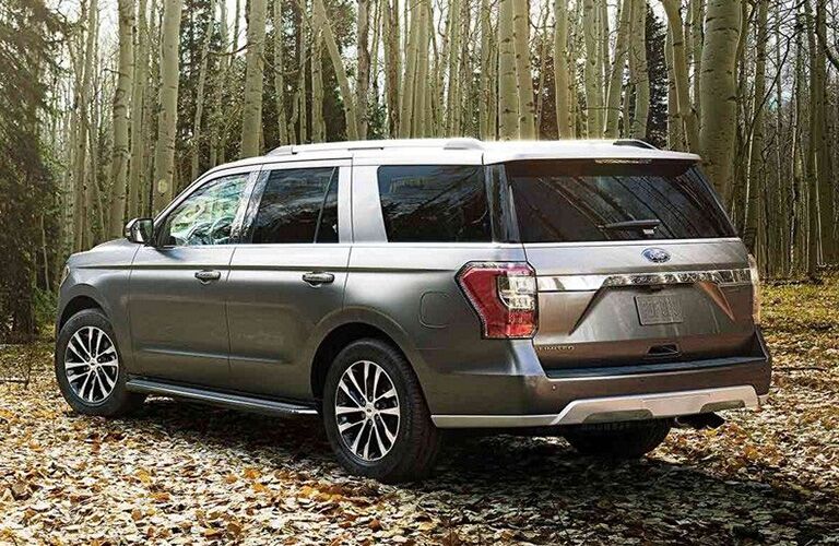 Gray 2019 Ford Expedition Rear Exterior in the Woods