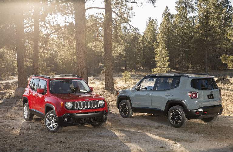 Billion Auto Group customers have lots of choices available with the 2017 Jeep Renegade