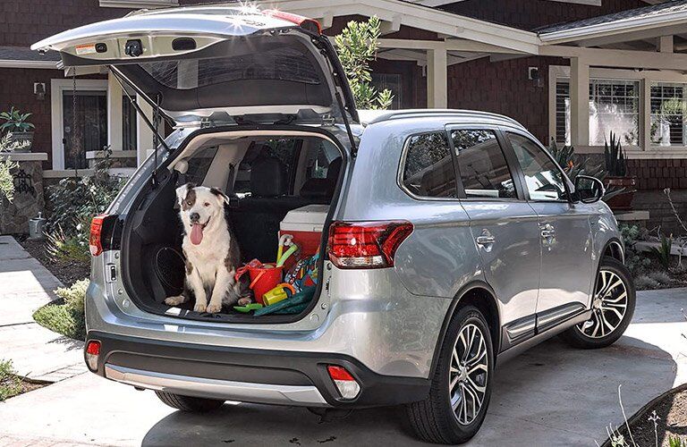Dog in the back of the 2017 Mitsubishi Outlander