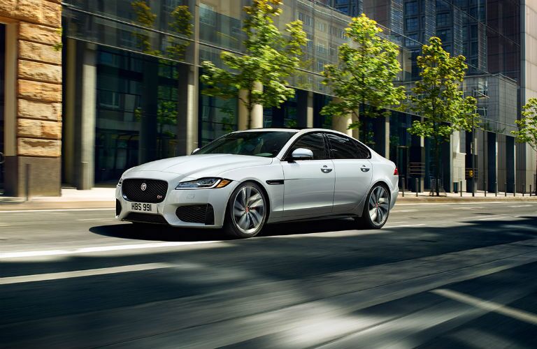 White 2018 Jaguar XF driving on tree-lined city street
