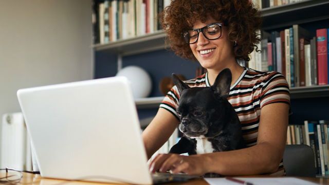 Woman Shopping on Laptop with Dog