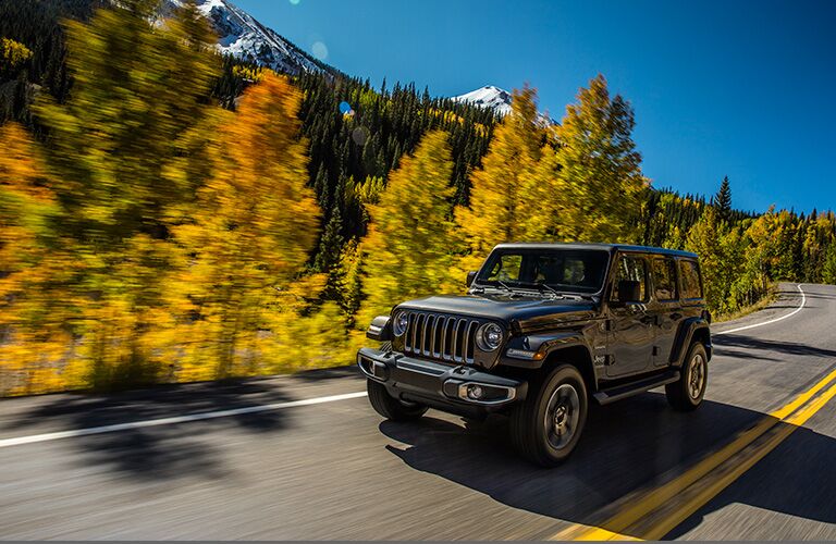 black jeep wrangler on road by trees