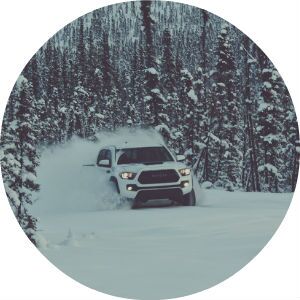 Tacoma TRD Pro