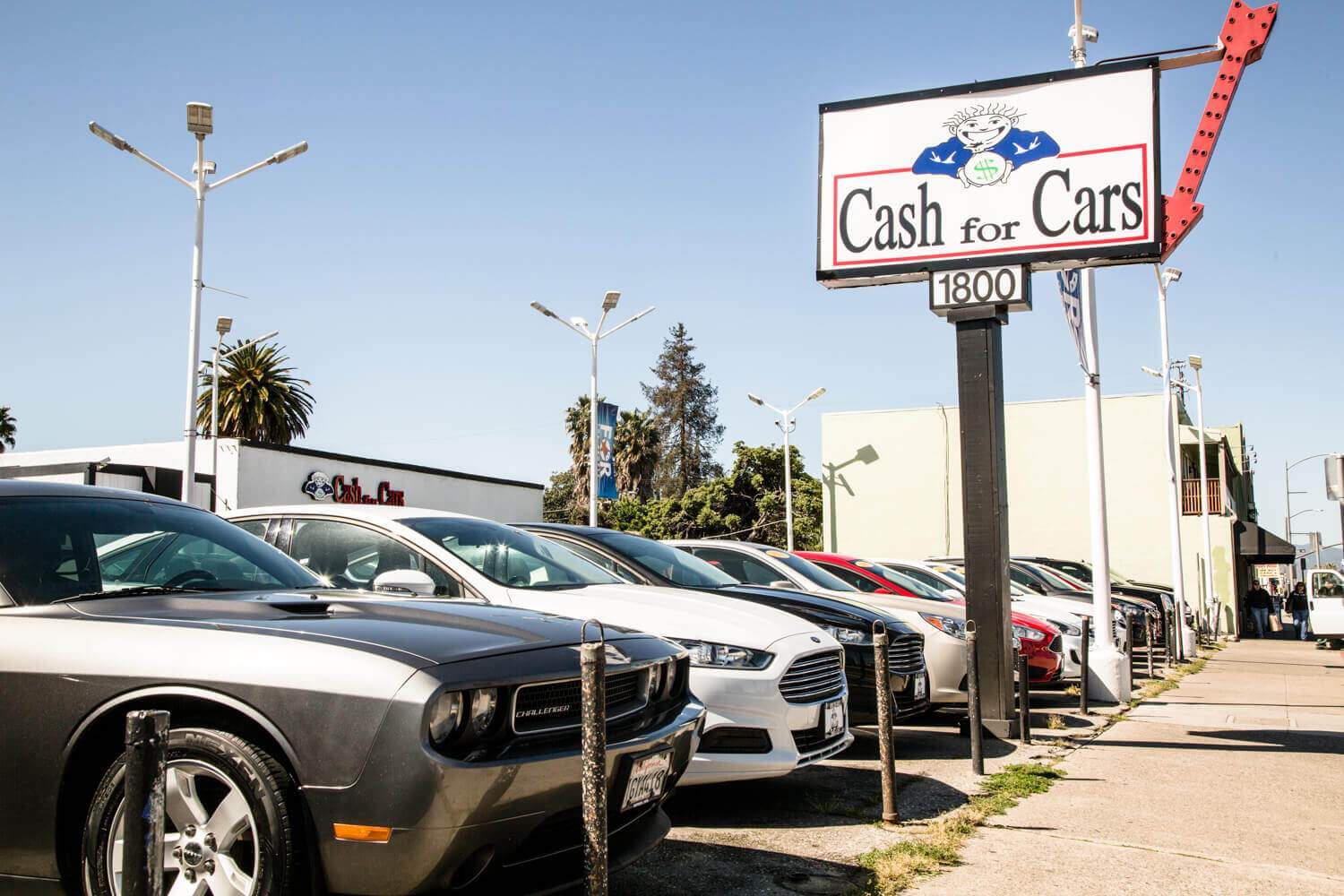 CashForCars Lot