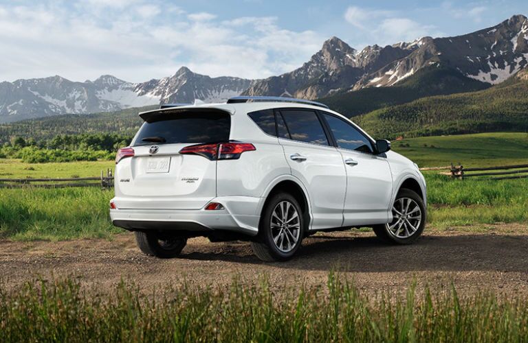 2018 Toyota RAV4 by the mountains in a field