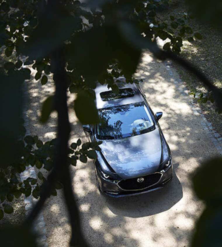 2019 Mazda3 viewed from above through tree branches