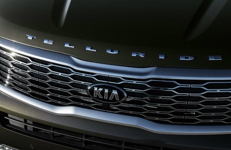 Front grille and badging of the 2020 Kia Telluride