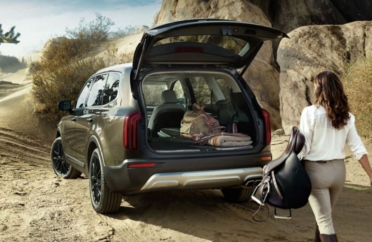 2021 Kia Telluride rear view