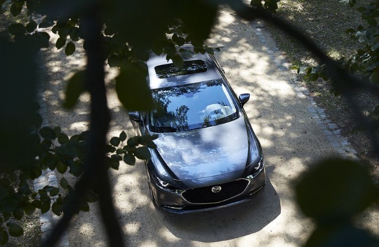 2020 Mazda3 viewed from above through trees