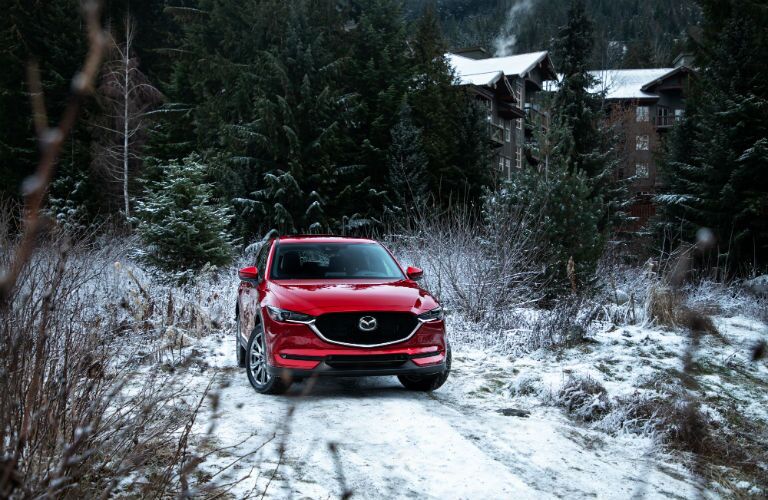A photo of the 2019 MAzda CX-5 parked in the woods.