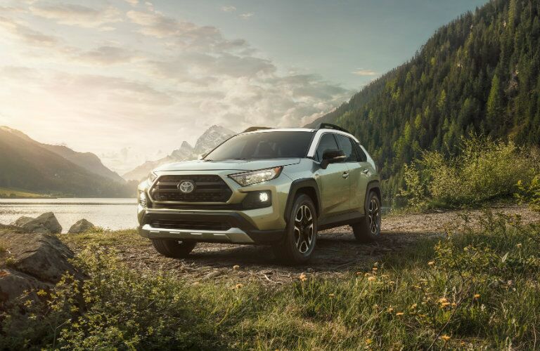 2019 Toyota RAV4 Exterior View in Silver