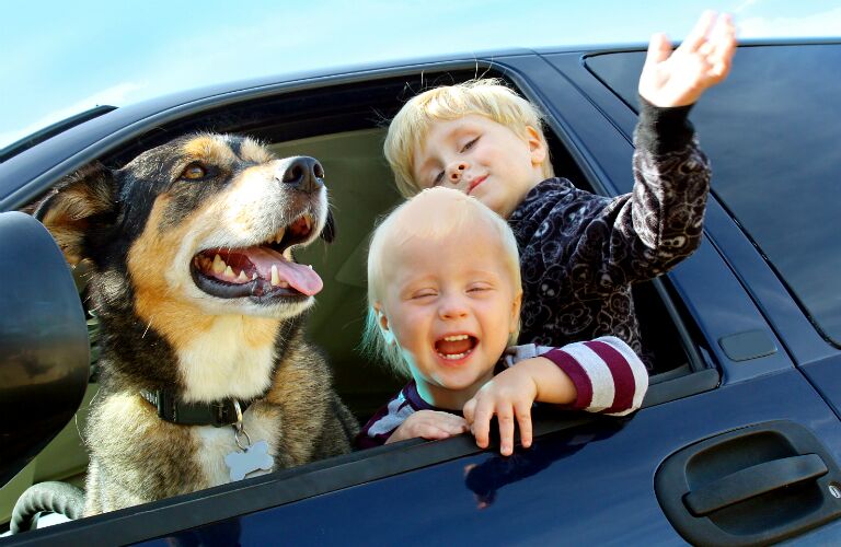two happy kids and a dog hanging out a car window