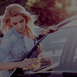 Windshield Protection