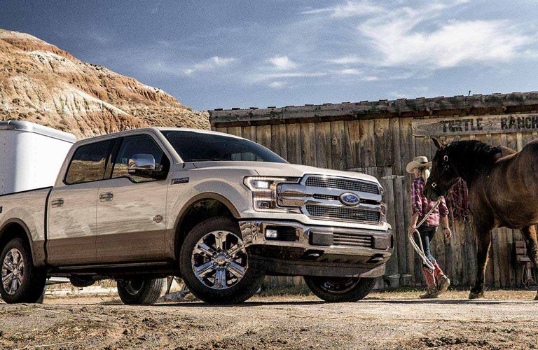 Woman with a horse near the 2018 Ford F-150