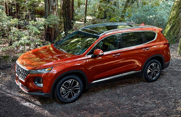 orange 2020 Hyundai Santa Fe in a forest