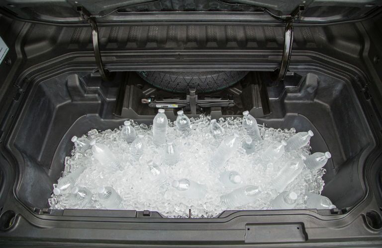 In-bed trunk with ice