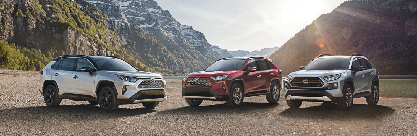 2019 Toyota RAV4 Hybrid models parked by a mountain