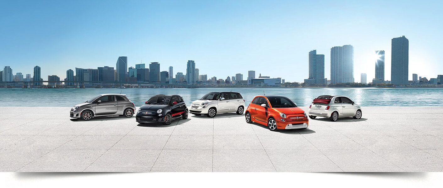 About Palmen Fiat