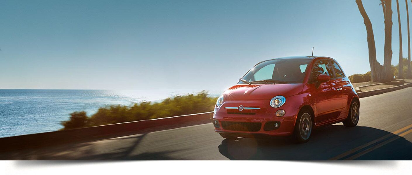 Palmen Fiat