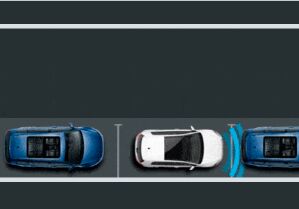 Park Assist