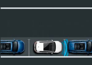 Park Distance Control