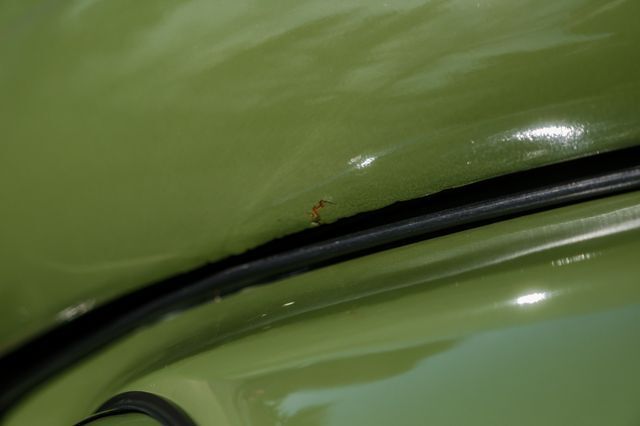 1954 Volkswagen Beetle Deluxe Sedan Paramus NJ