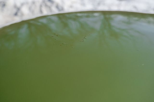 1954 Volkswagen Beetle Deluxe Sedan Paramus NJ