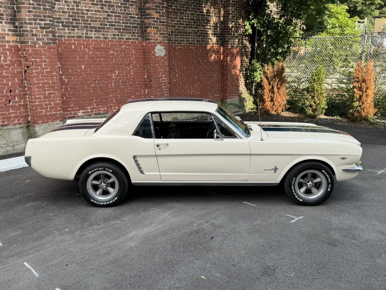 1965 No Make MUSTANG Charlton MA
