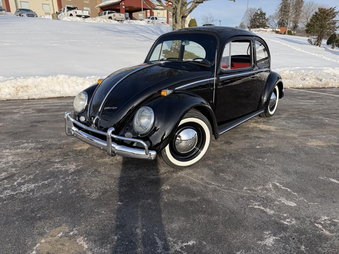 1965 VOLKSWAGEN BEETLE