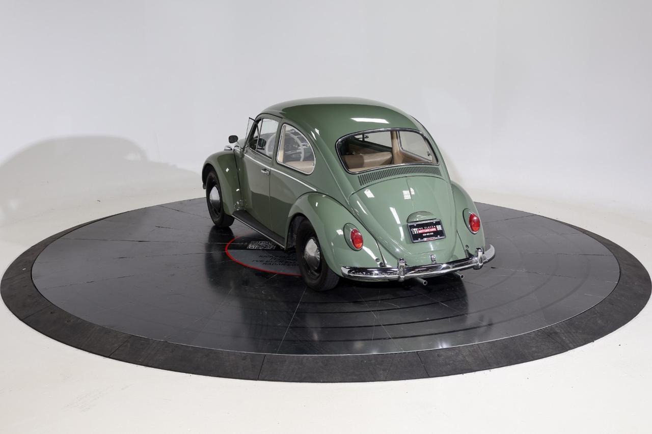 1965 Volkswagen Beetle Franklin TN