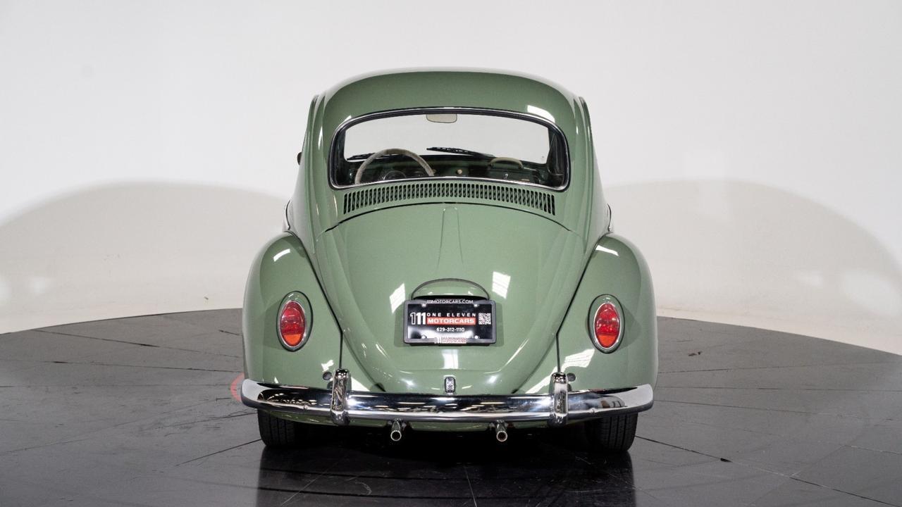 1965 Volkswagen Beetle Franklin TN
