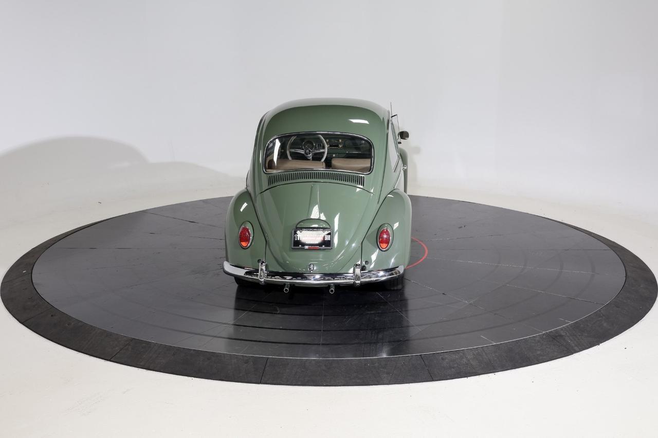 1965 Volkswagen Bettle Franklin TN