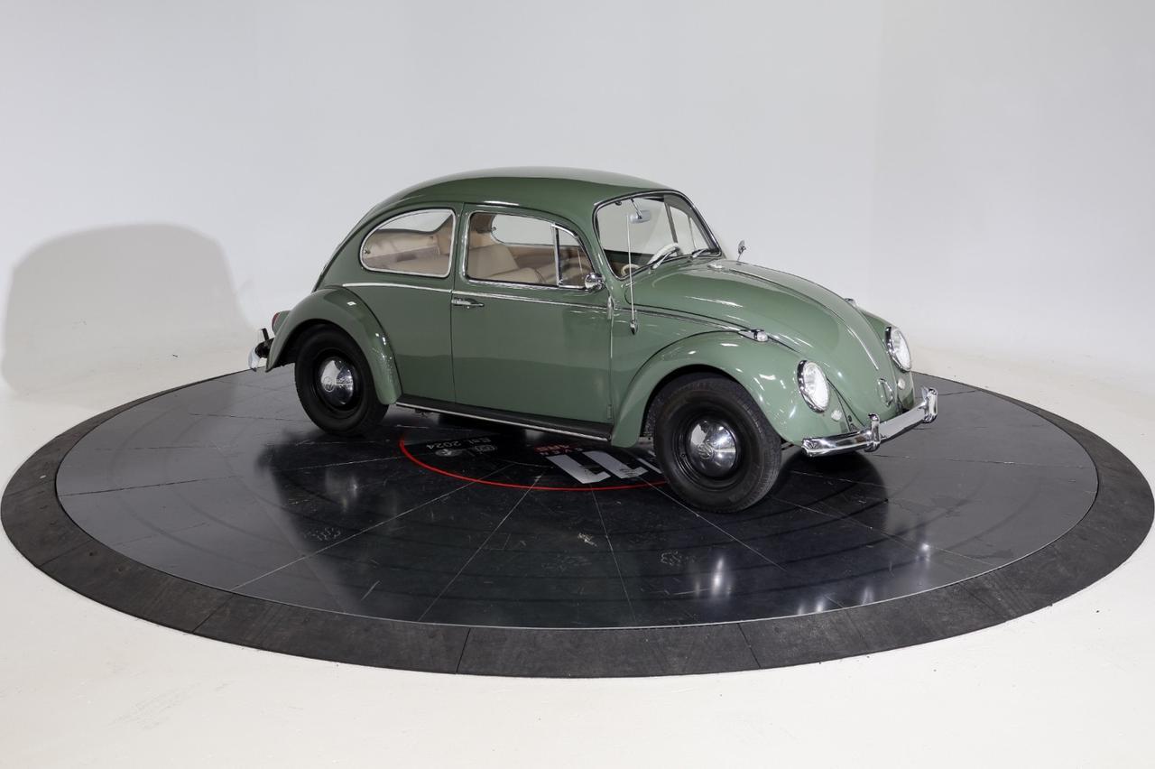 1965 Volkswagen Bettle Franklin TN