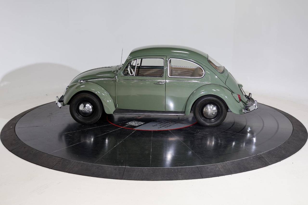 1965 Volkswagen Bettle Franklin TN