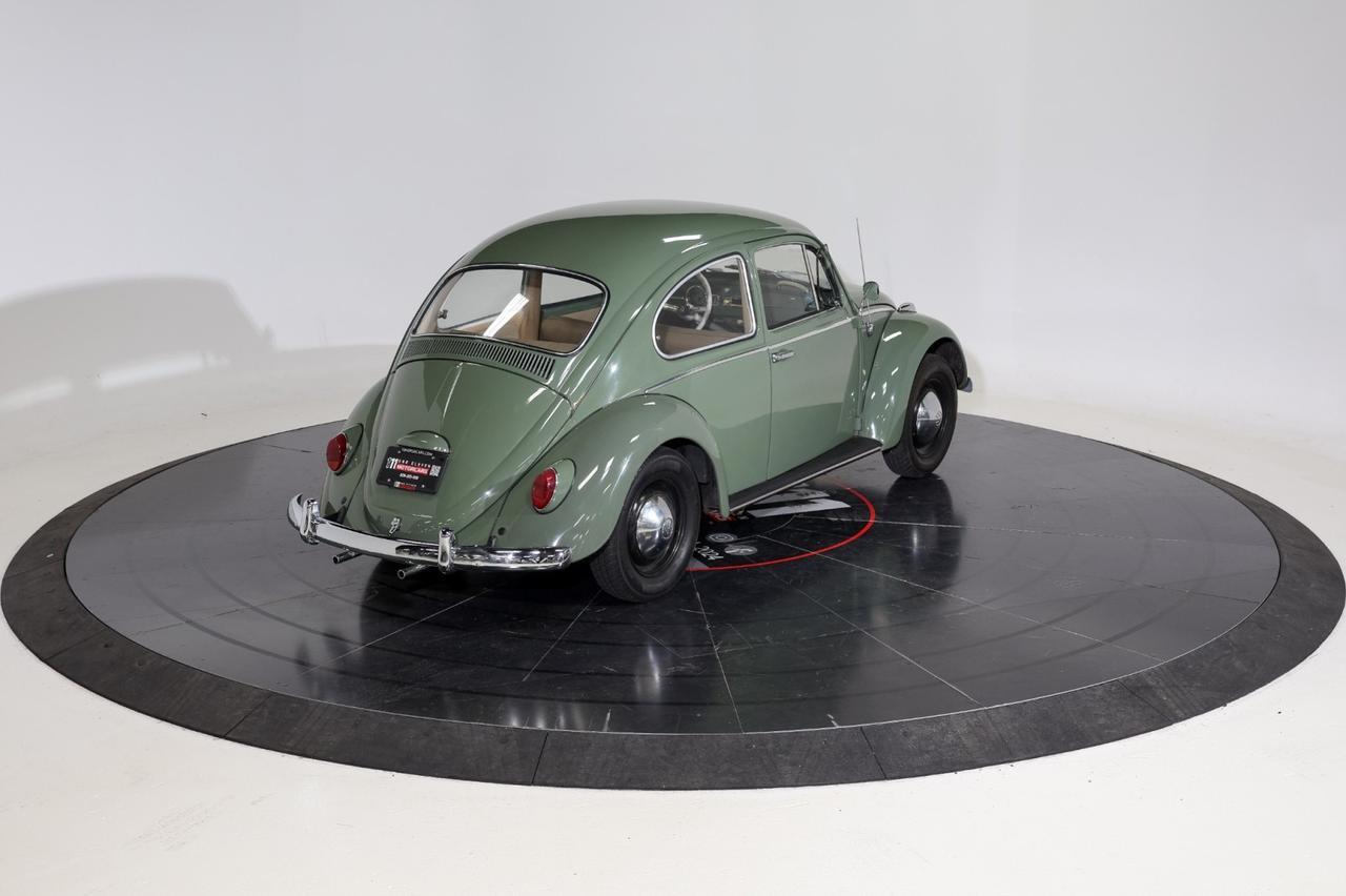 1965 Volkswagen Bettle Franklin TN