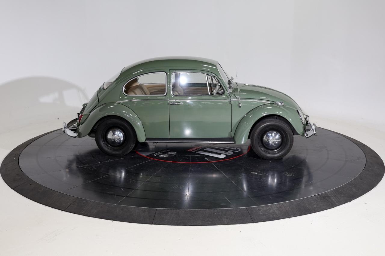 1965 Volkswagen Bettle Franklin TN
