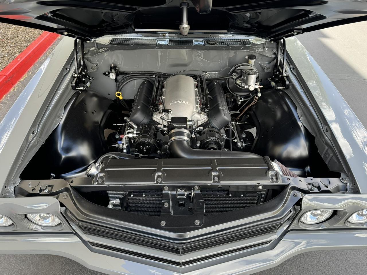 1970 Chevrolet Chevelle 6.0L LS2 5spd Resto-Mod Scottsdale AZ