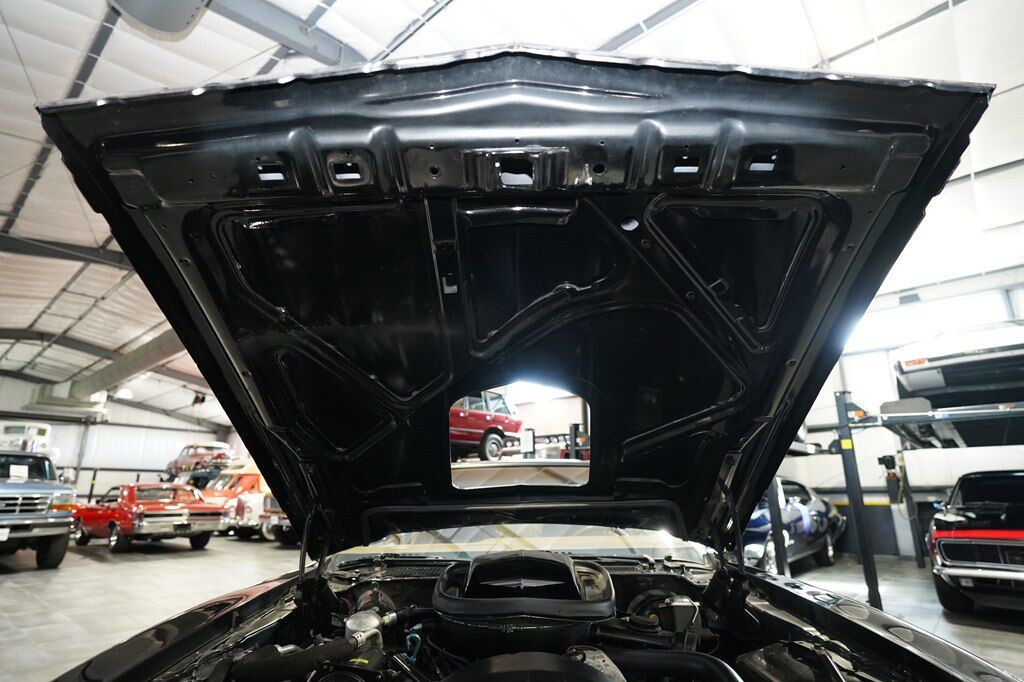 1979 PONTIAC TRANS AM COUPE Boerne TX
