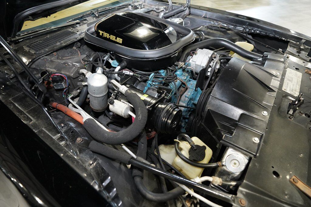1979 PONTIAC TRANS AM COUPE Boerne TX