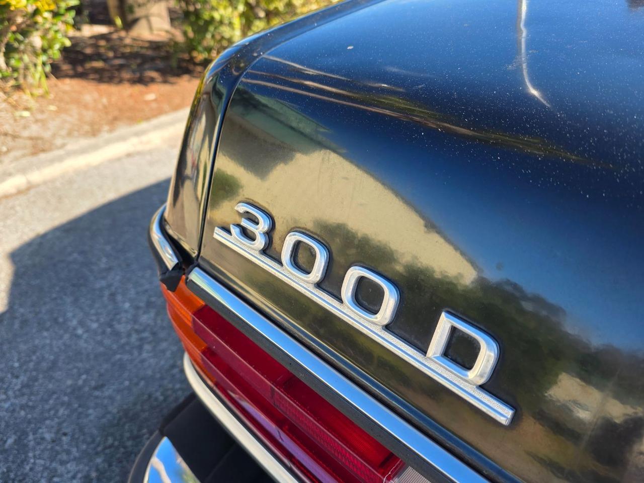 1981 Mercedes-Benz 300 Series 300 Hardeeville SC