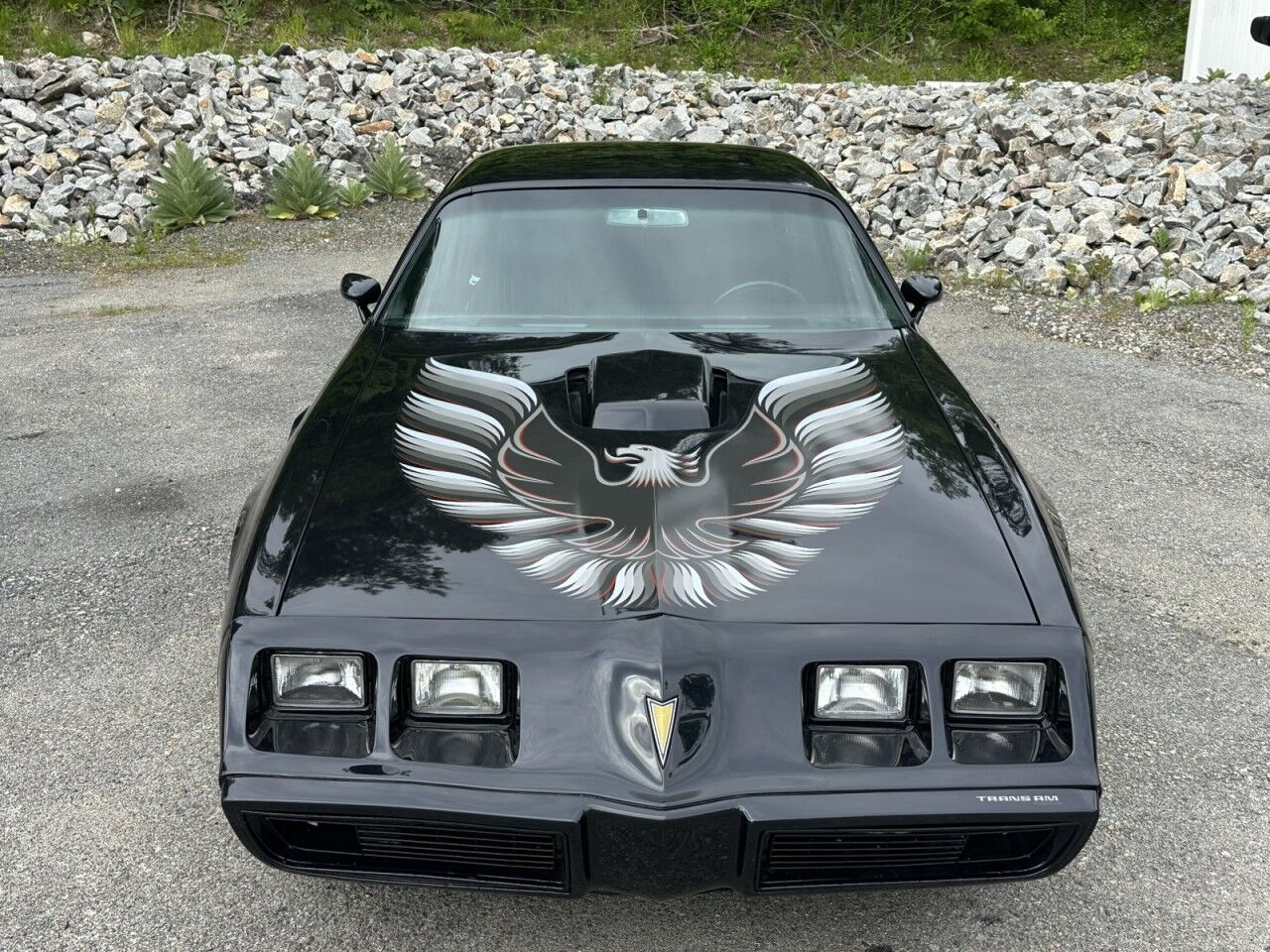 1981 Pontiac Firebird Charlton MA