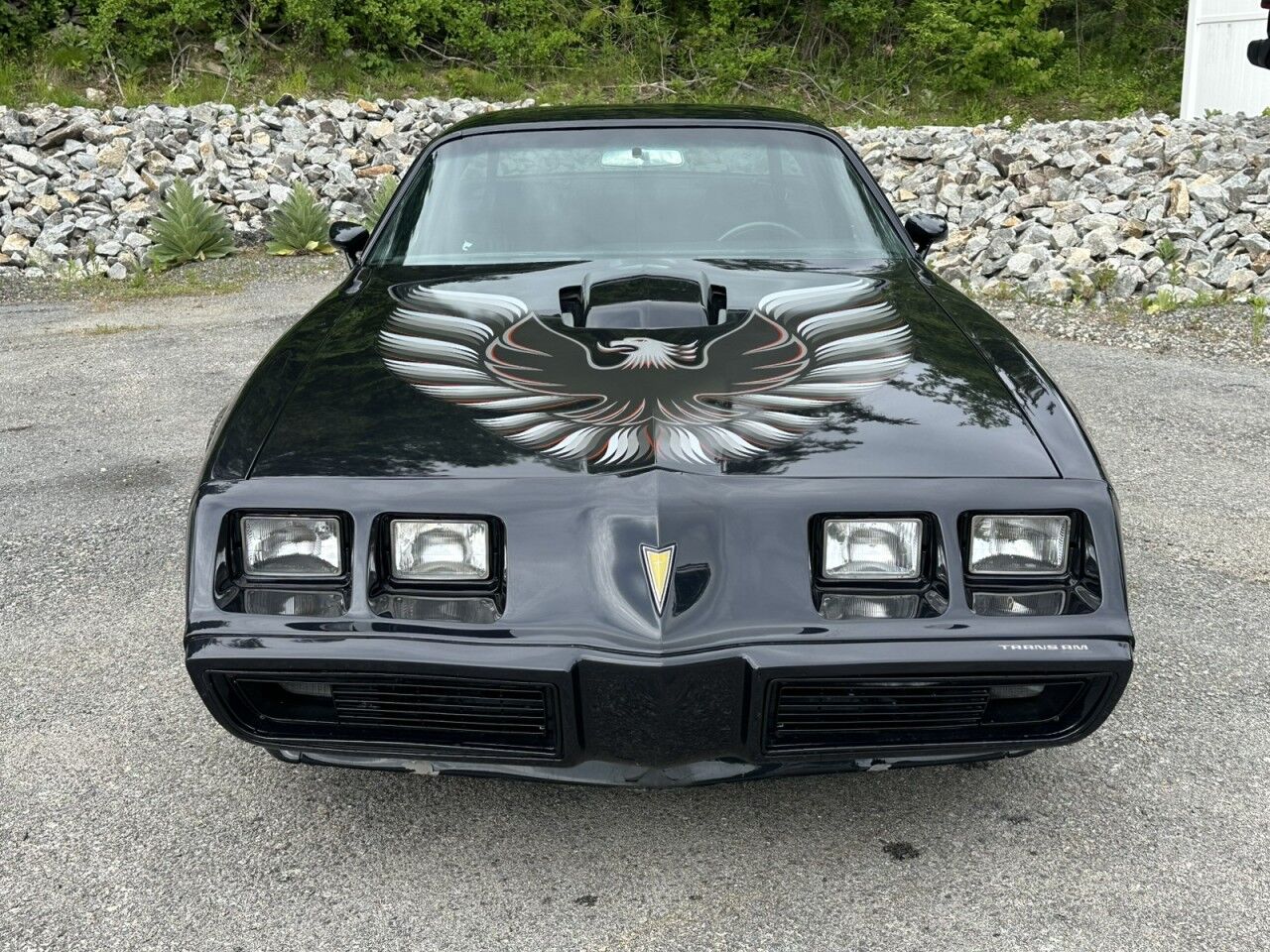 1981 Pontiac Firebird Charlton MA