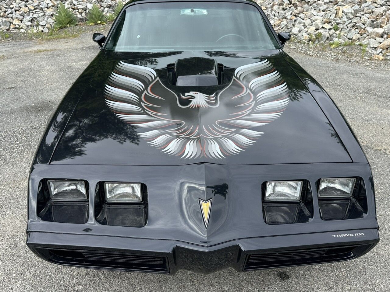 1981 Pontiac Firebird Trans AM Charlton MA