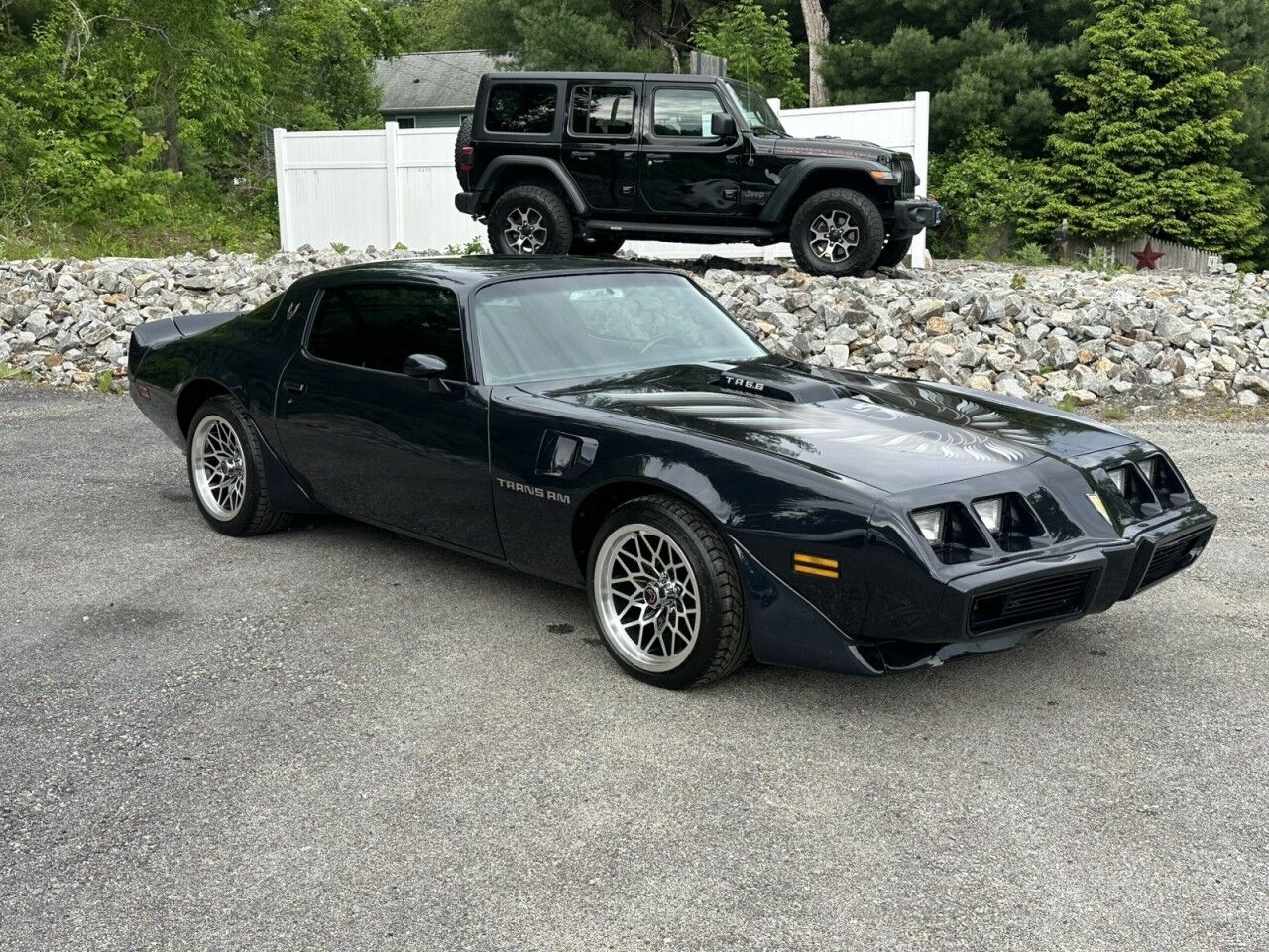1981 Pontiac Firebird Trans AM