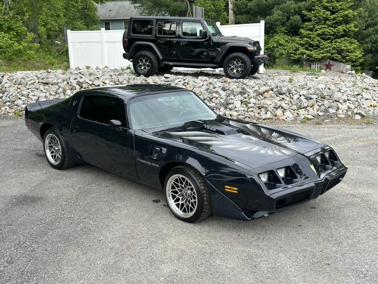 1981 Pontiac Firebird Trans AM