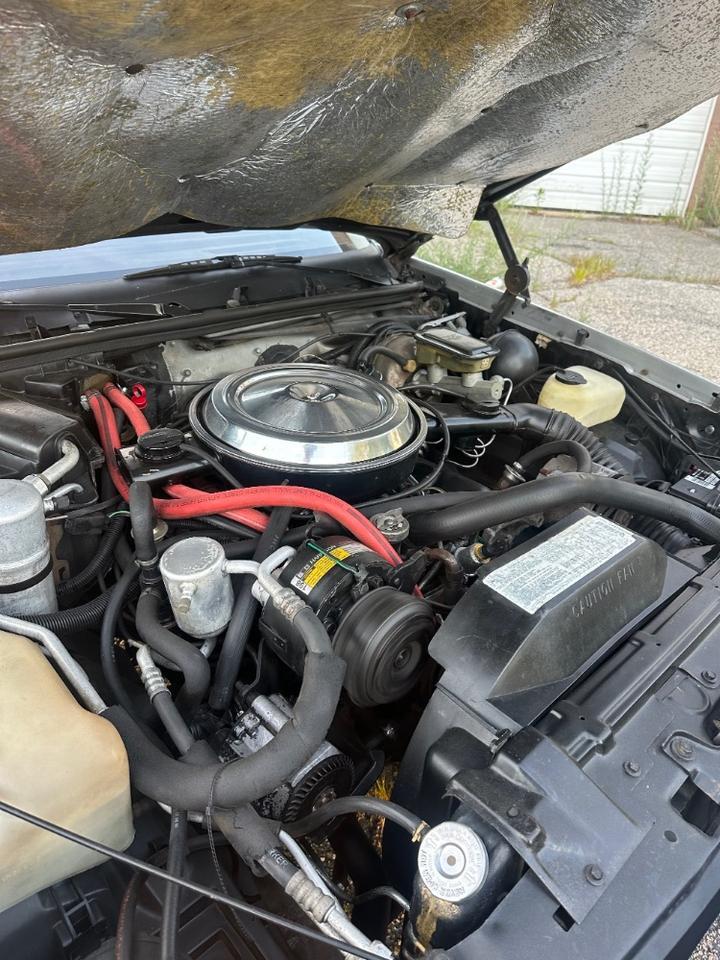 1984 Oldsmobile Hurst Coupe Charlton MA