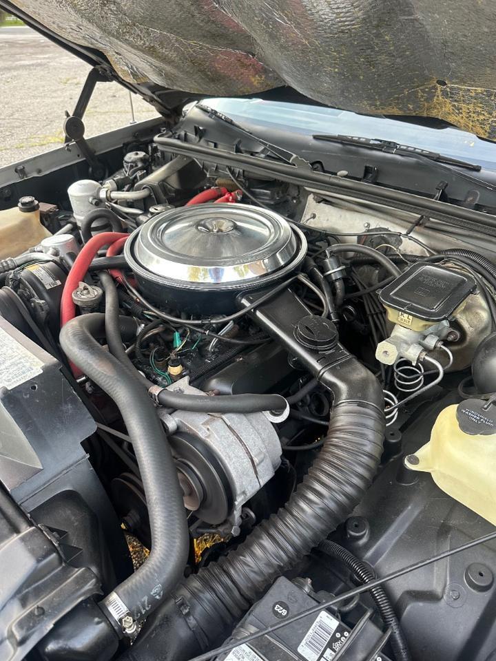 1984 Oldsmobile Hurst Coupe Charlton MA