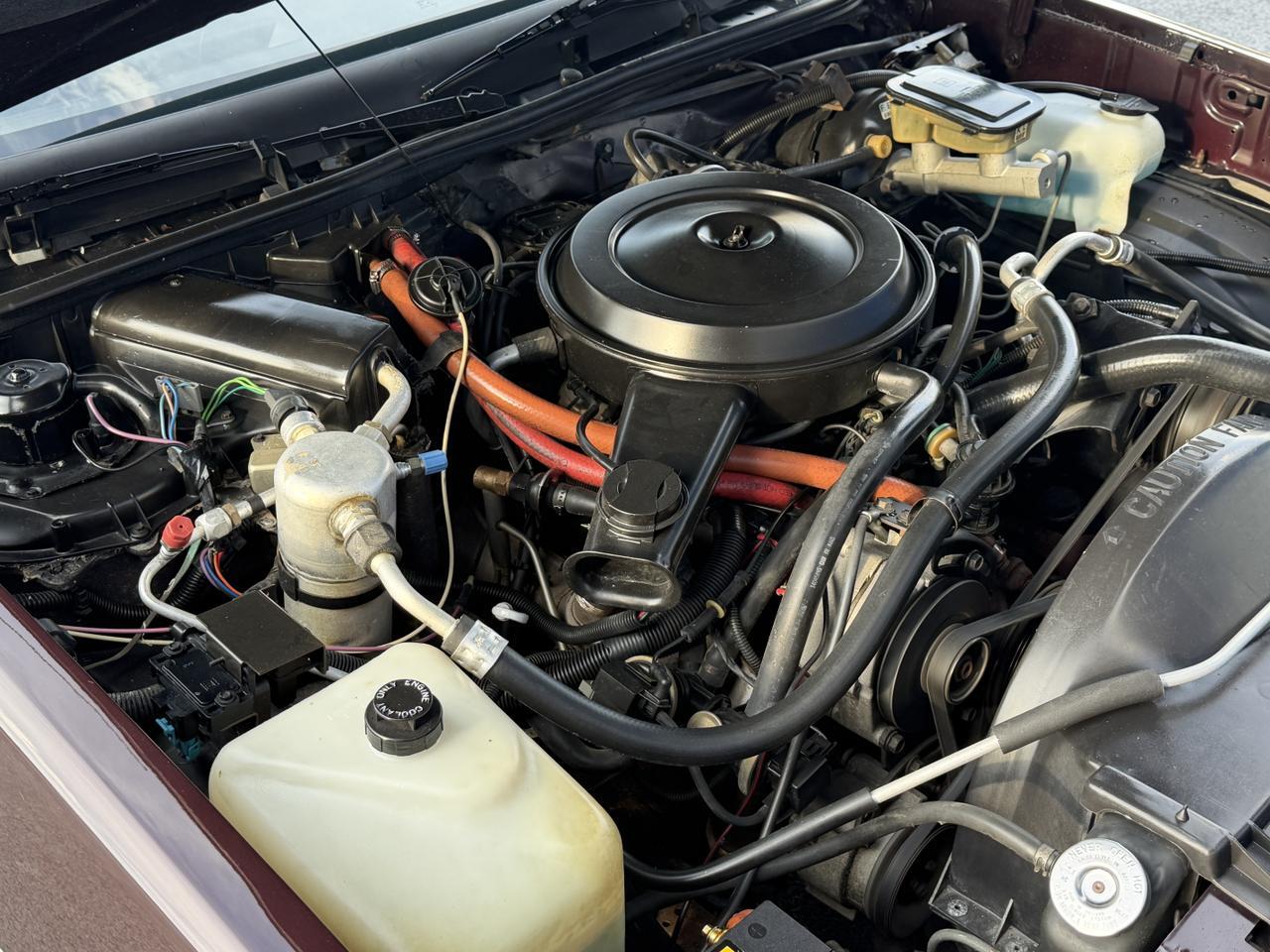 1986 CHEVROLET EL CAMINO CONQUISTA Connellsville PA
